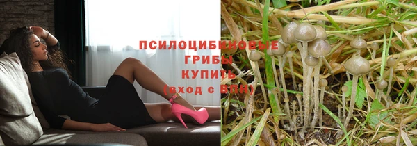 дживик Балабаново